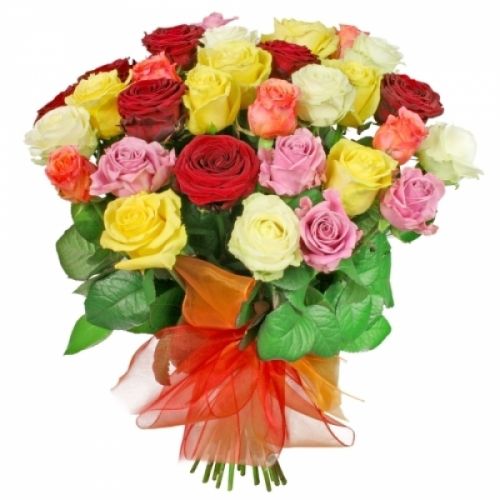 35 разноцветных роз с доставкой по Каргополю